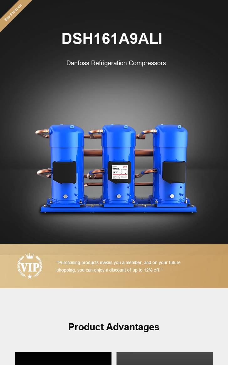 Danfoss Compressor DSH161A9ALI, technical parameters pdf, structure diagram